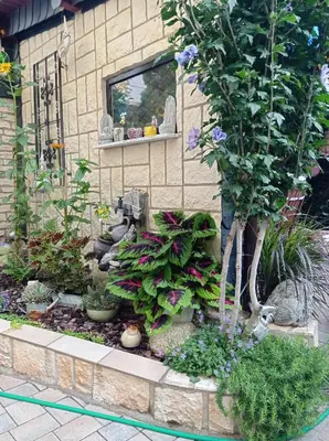 Ein Garten an der Unterkunft USIS_FERIENWOHNUNG im Harz