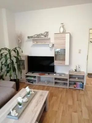 TV/Unterhaltungsangebot in der Unterkunft USIS_FERIENWOHNUNG im Harz