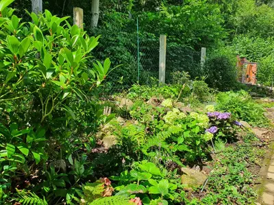 Ein Garten an der Unterkunft Waldhaus Harz, Natur pur mit Pool, Sauna und traumhaften Garten