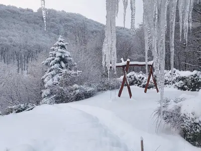 Waldhaus Harz, Natur pur mit Pool, Sauna und traumhaften Garten im Winter