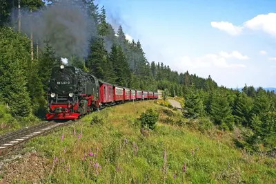 Naturlandschaft in der Nähe des Hotels