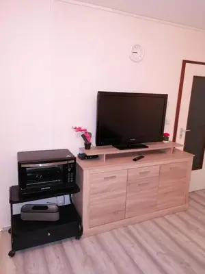 TV/Unterhaltungsangebot in der Unterkunft CrisAnd Wald &Terrasse