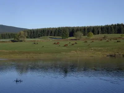 Naturlandschaft in der Nähe des Hotels