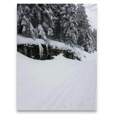 Harz Zeit im Winter