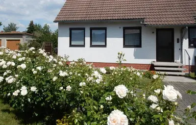 Ein Garten an der Unterkunft Fewo am Sassenberg
