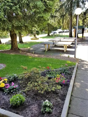 Ein Garten an der Unterkunft Grossdorf Ferienwohnung Waldsuite im Harz