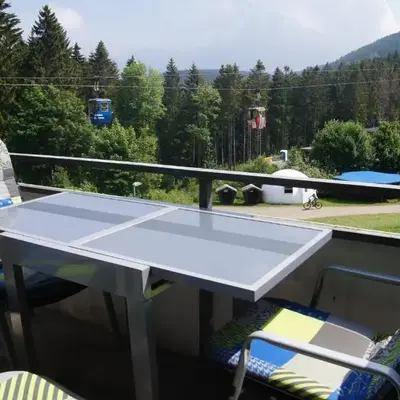 Ferienwohnung Downhill am Bocksberg