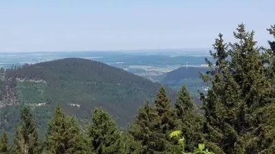 Grundriss der Unterkunft Kuschelnest
