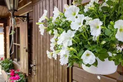 Ein Garten an der Unterkunft An der Abzucht