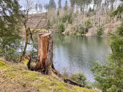 Naturlandschaft in der Nähe der Ferienwohnung