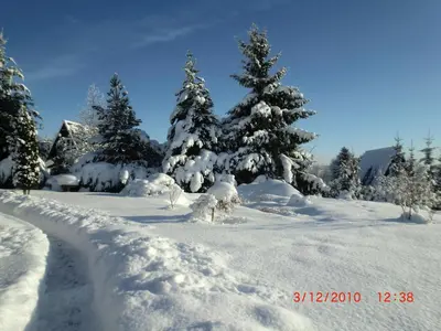Finnhaus Neubauer im Winter