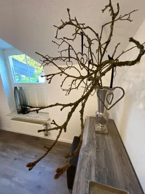 Grundriss der Unterkunft Boutique Apartment Anne