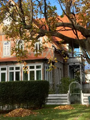 Ein Garten an der Unterkunft Gästehaus Musestieg