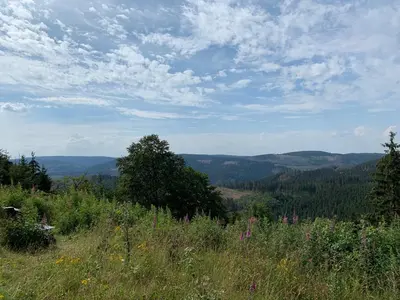 Naturlandschaft in der Nähe der Pension