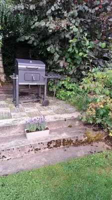Ein Garten an der Unterkunft Ferienwohnung Friedrichsruh