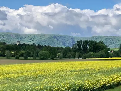Naturlandschaft in der Nähe der Ferienwohnung