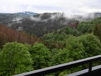 Naturlandschaft in der Nähe der Ferienwohnung