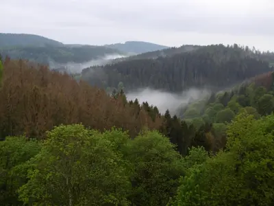 Naturlandschaft in der Nähe der Ferienwohnung