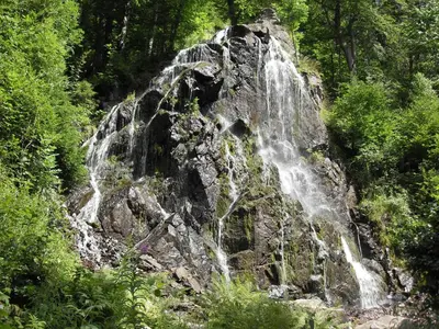 Naturlandschaft in der Nähe der Ferienwohnung