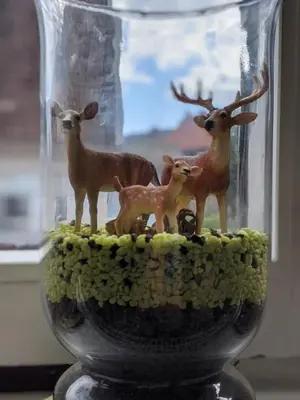 Tiere in der Ferienwohnung oder in der Nähe