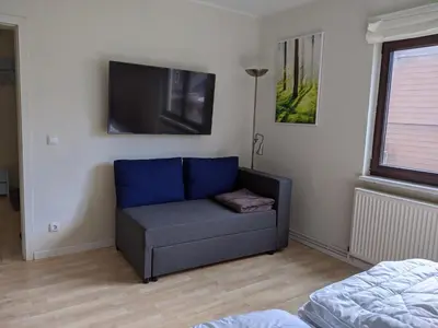 TV/Unterhaltungsangebot in der Unterkunft Zur ForsHütte