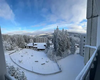 Harz Stube im Winter