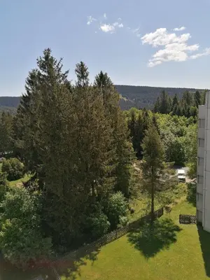 Naturlandschaft in der Nähe der Ferienwohnung