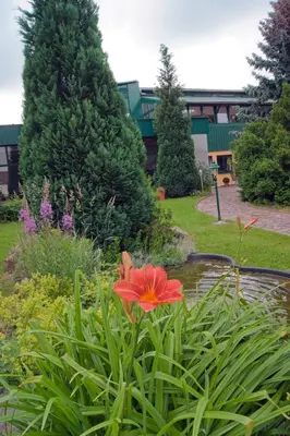 Ein Garten an der Unterkunft Landhotel Harz