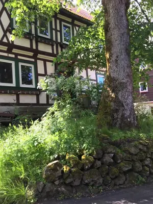 Ein Garten an der Unterkunft Blockhaus Harzblick4C