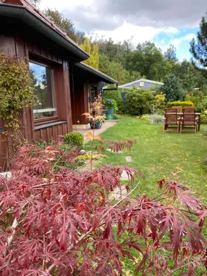 Ein Garten an der Unterkunft Lodge am Wald Terrasse Garten Grill ruhige Lage Wandern