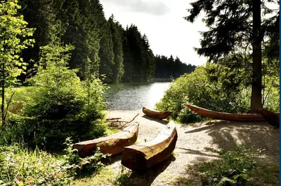 Naturlandschaft in der Nähe der Ferienwohnung