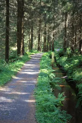 Naturlandschaft in der Nähe der Ferienwohnung