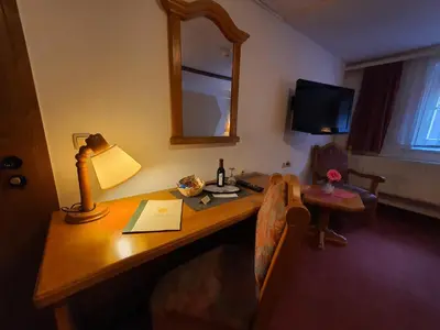 TV/Unterhaltungsangebot in der Unterkunft Hotel Zur Goldenen Sonne