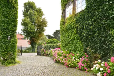 Ein Garten an der Unterkunft Parkhotel Fischer
