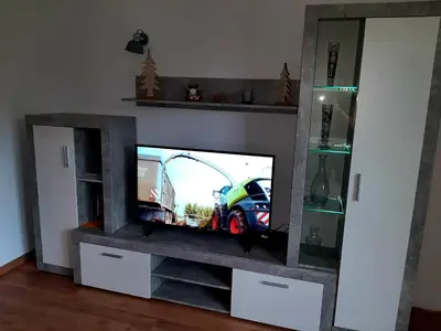 TV/Unterhaltungsangebot in der Unterkunft Ferienwohnung Harzmonie