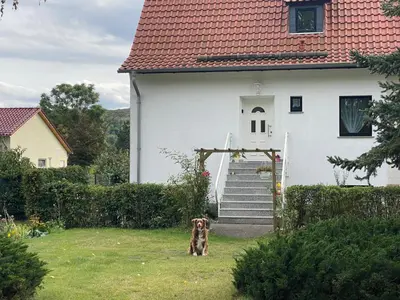 Ein Garten an der Unterkunft Ferienhaus am Mühlgraben