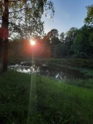 Naturlandschaft in der Nähe der Ferienwohnung