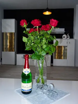 Getränke in der Unterkunft Ferienwohnung Ostard 1