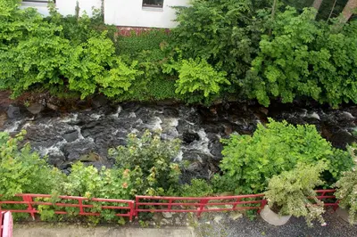 Ein Garten an der Unterkunft REGIOHOTEL Germania Bad Harzburg - #DirektAmKurpark #Wellnessbereich #Frühstücksbuffet #FreeParking