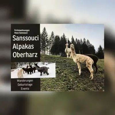 Grundriss der Unterkunft Alpaka Haus Sanssouci Tanne Oberharz
