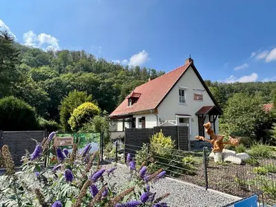 Ein Garten an der Unterkunft Traumhaus Thale mit Sauna und Kamin