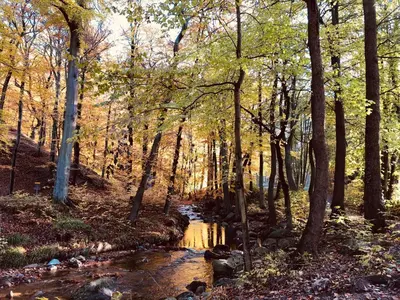 Naturlandschaft in der Nähe der Ferienwohnung