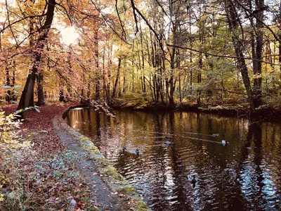 Naturlandschaft in der Nähe der Ferienwohnung