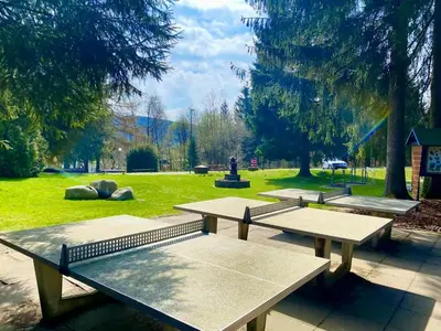 Ein Garten an der Unterkunft RelaxApartments ABENDSONNE im Herzen des Harzes - ein El Dorado für Wanderer, Biker und Ruhesuchende - mit sonnigem Balkon und Platz für bis zu 3 Personen