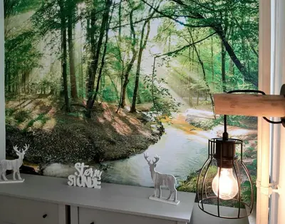 Naturlandschaft in der Nähe der Ferienwohnung