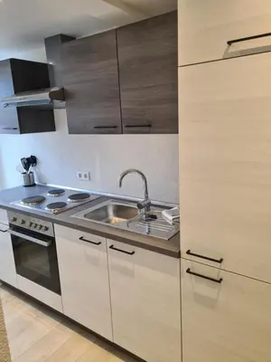 Küche/Küchenzeile in der Unterkunft Ferienwohnung Ohanna Goslar