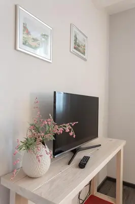 TV/Unterhaltungsangebot in der Unterkunft Zum Jakobi 2
