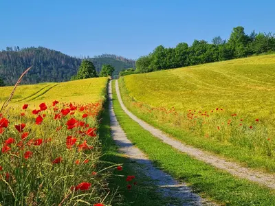 Naturlandschaft in der Nähe des Ferienhauses