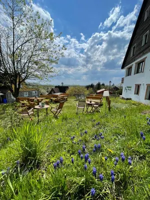 Ein Garten an der Unterkunft Berghotel Hohegeiß