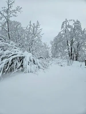 Michaels Fewo Erbhai im Winter